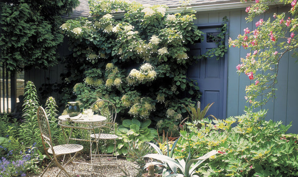 Make the Most of Your Small Garden 6 Creative Design Ideas