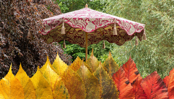 Seasonal Care for Perfect Parasols