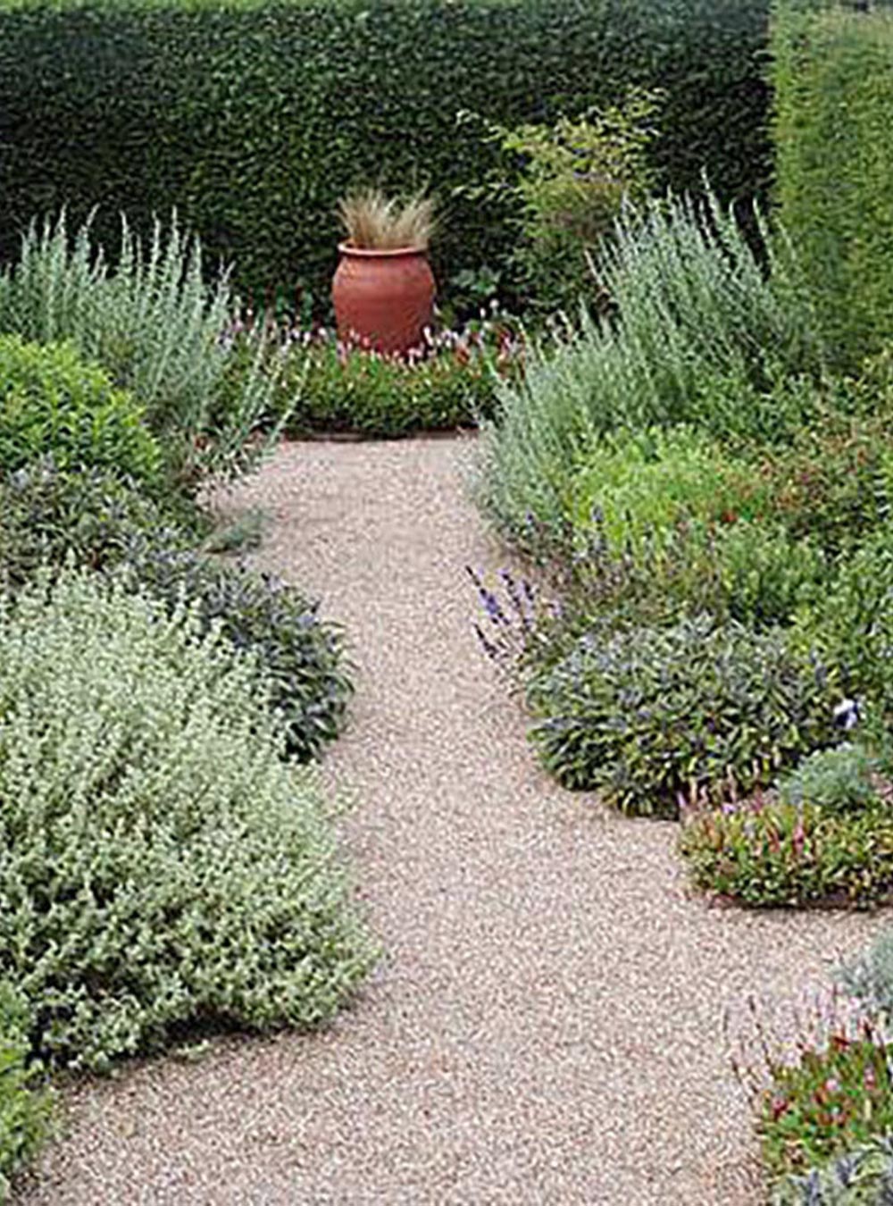 7 steps to creating a Mediterranean style garden using terracotta tones