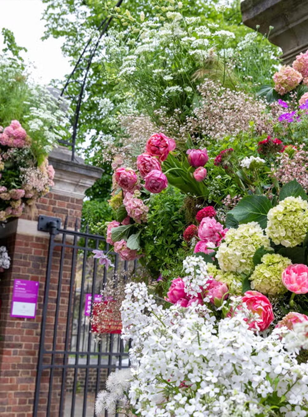 RHS Chelsea Flower Show 2024 Round Up