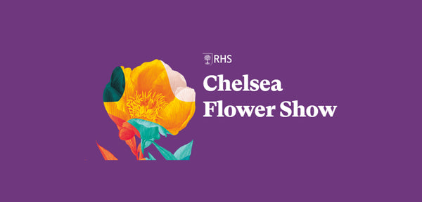 RHS Chelsea 2024 round up