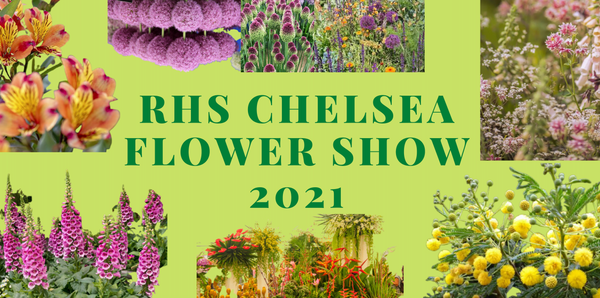 RHS Chelsea Flower Show 2021