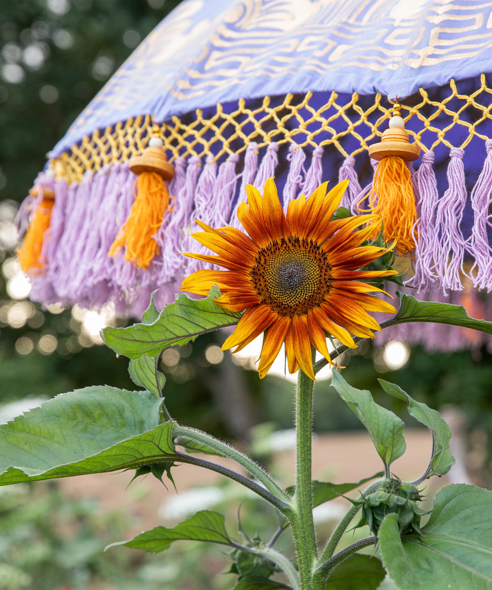 Sallie Round Bamboo Parasol