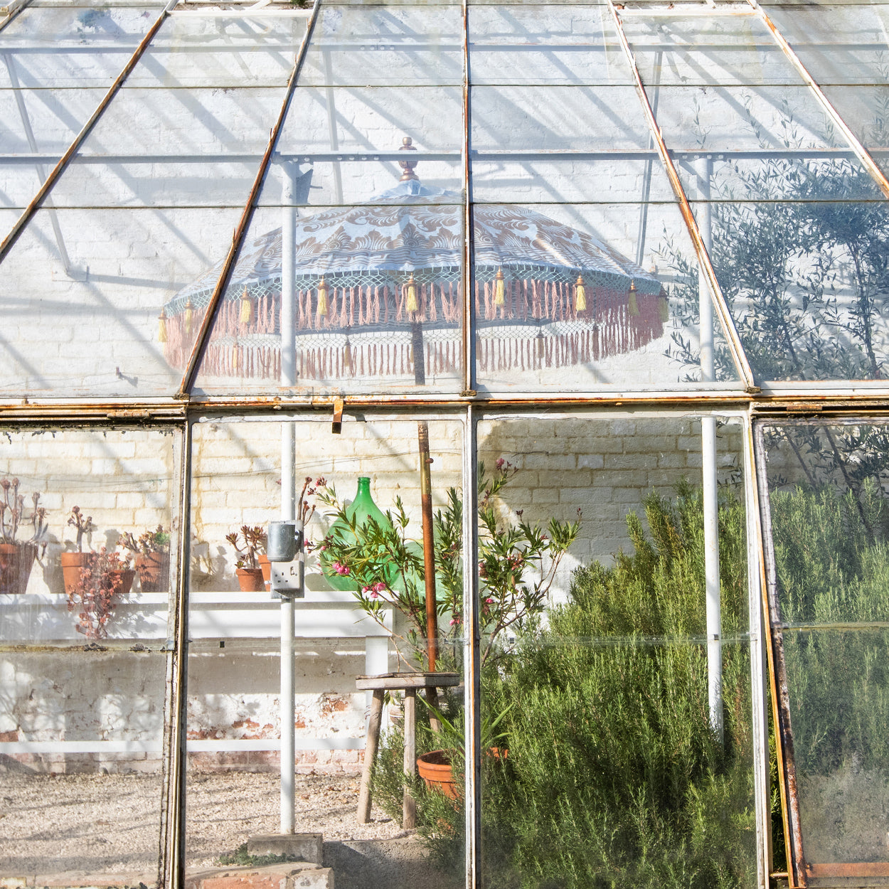 Hugo Round Bamboo Parasol lifestyle shot inside a greenhouse- highlighting the pastel beauty.