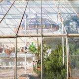 Hugo Round Bamboo Parasol lifestyle shot inside a greenhouse- highlighting the pastel beauty.